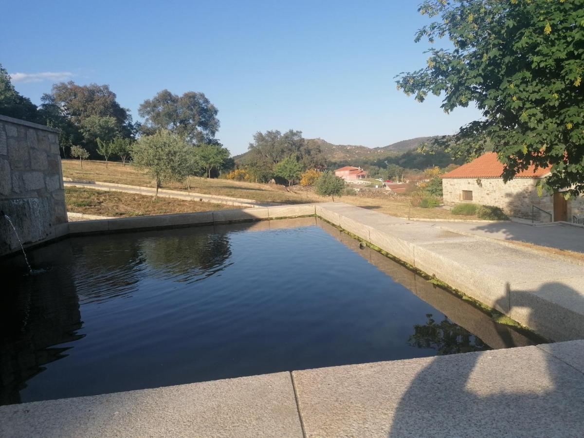 Lirios Da Granja - Casa De Campo 外观 照片