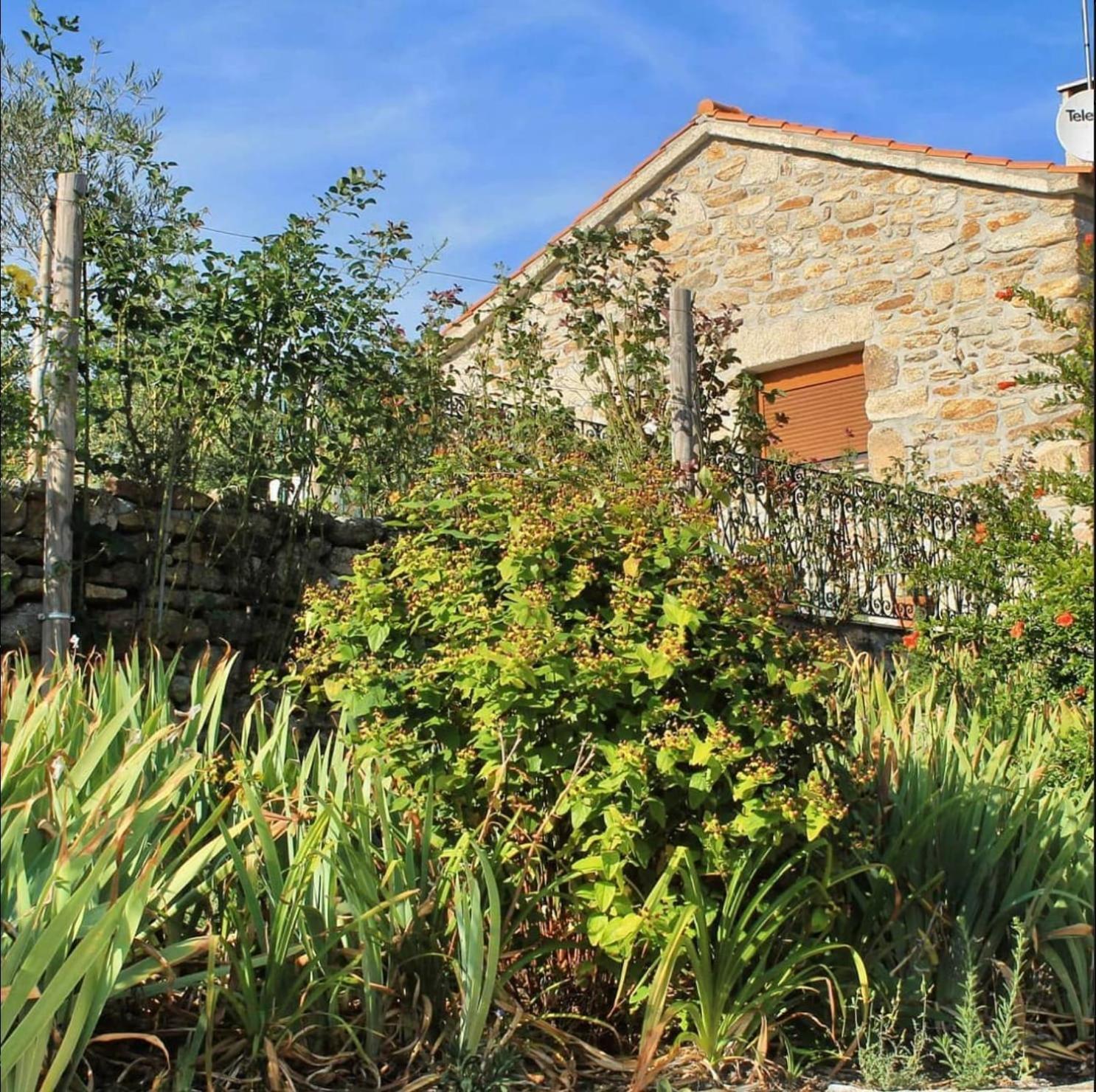Lirios Da Granja - Casa De Campo 外观 照片